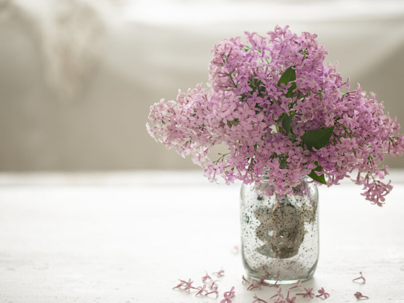 Bouquet Fresh Lilac Flowers Glass Vase