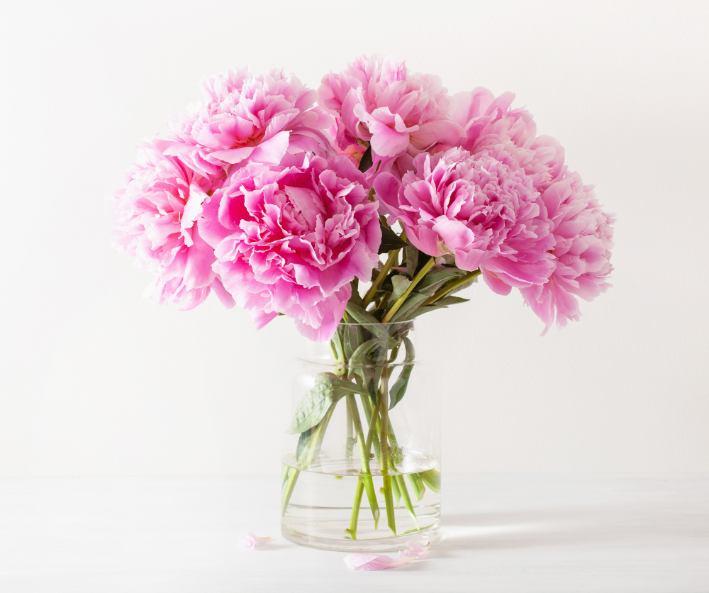 Beautiful Pink Peony Flowers Bouquet Vase