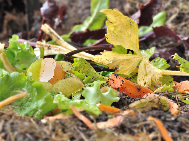 Close Vegetable Peels Other Alimentary Waste Composter