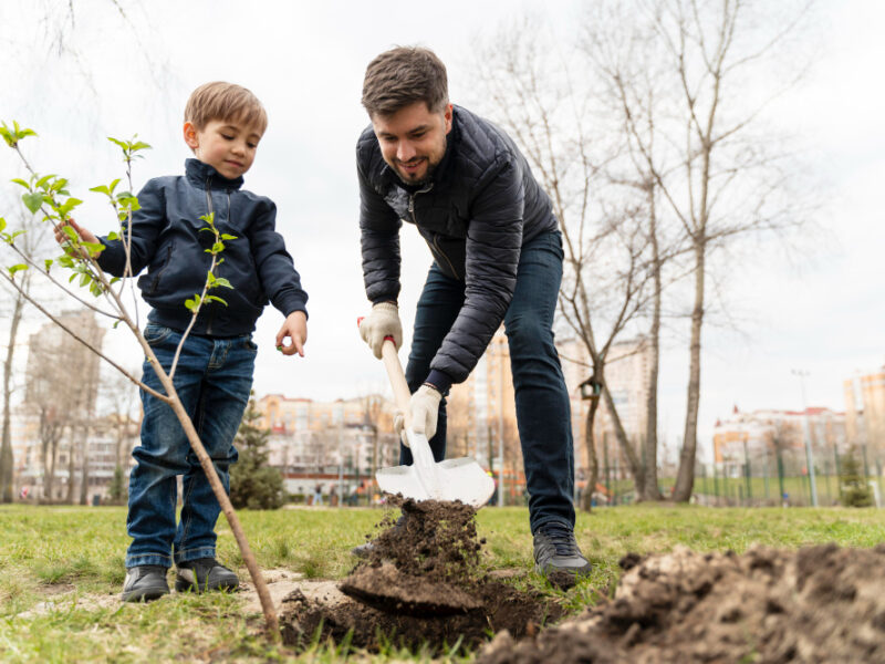 Child Learning How Plant Tree