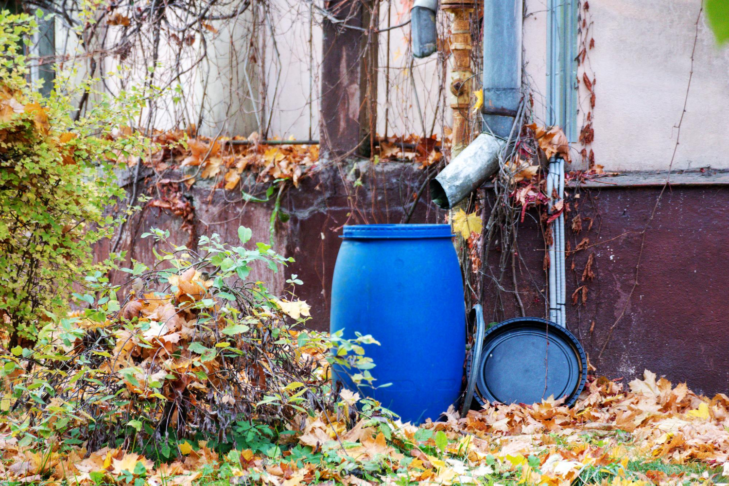 blue-barrel-is-outside-pipe-with-hose-coming-out-it