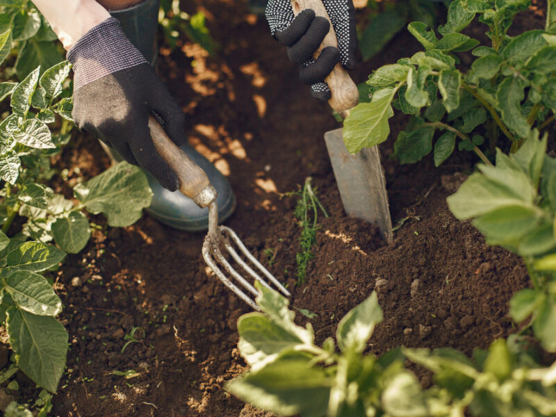 Woman Hat Working Garden