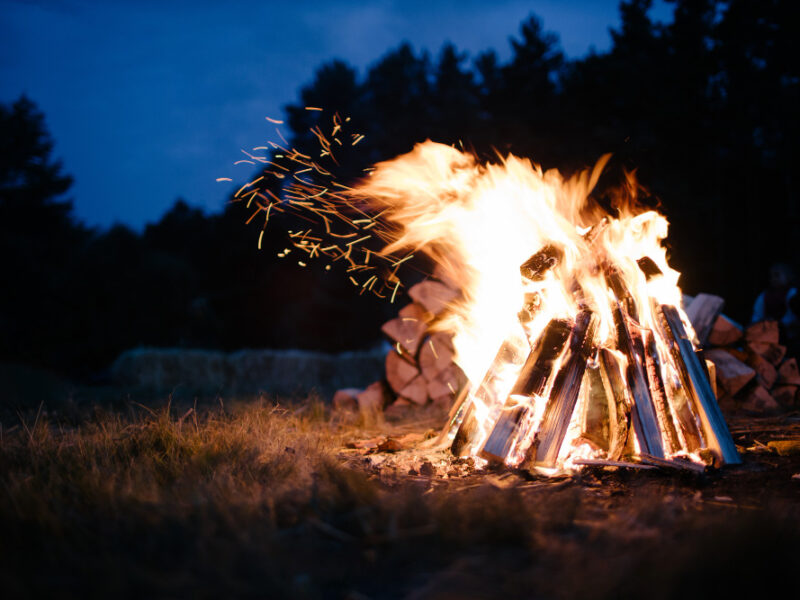 Bonfire Forest Dusk