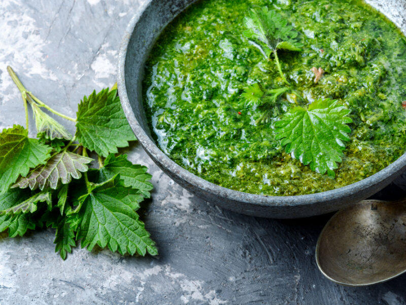 Russian Traditional Nettle Soup