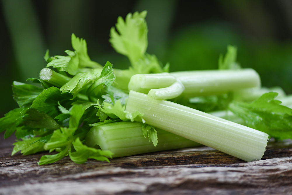 Fresh Celery Vegetable Bunch Celery Stalk With Leaves Wood Nature Green