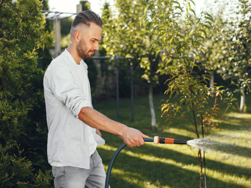 Man Watering His Plants His Garden Man Blue Shirt