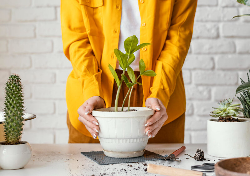 Woman Taking Care Plant Pot