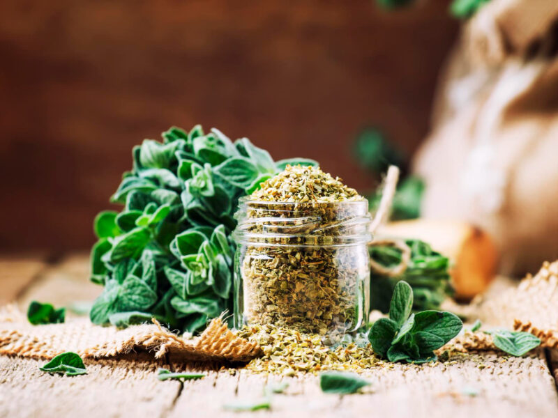 Dried Fresh Oregano Vintage Wood Background Rustic Style Selective Focus