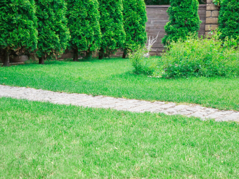 Paved Sidewalk With Green Lawn Park