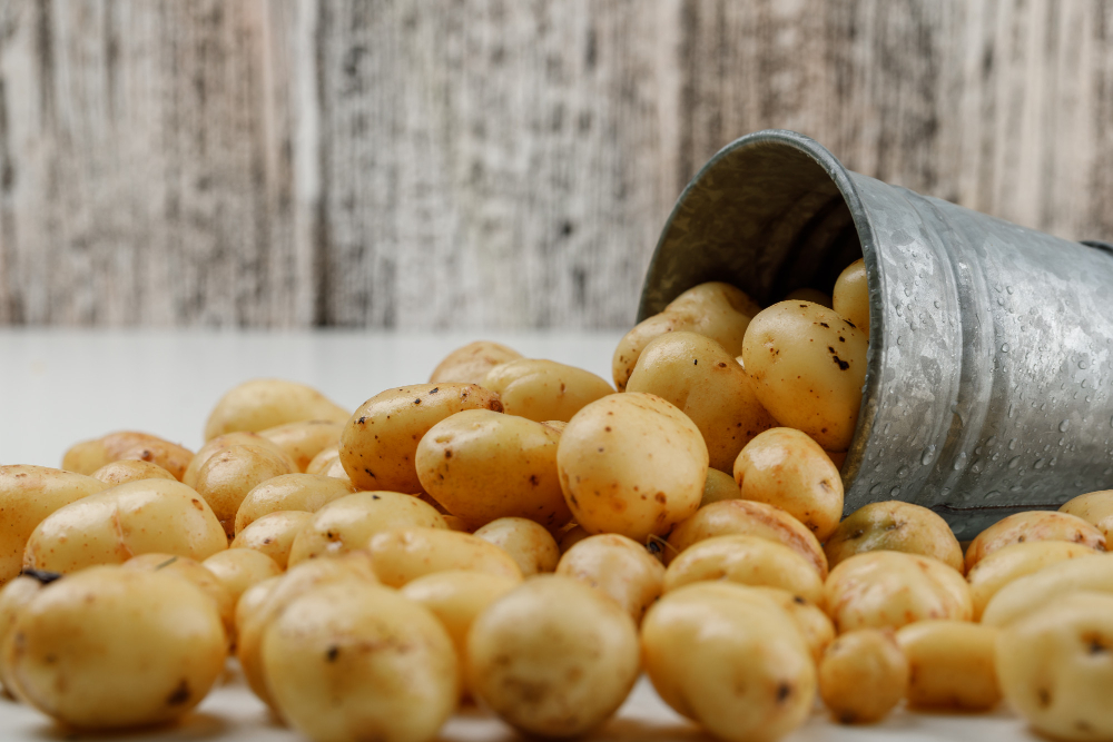 Scattered Potatoes From Mini Bucket White Grungy Wooden Wall Side View