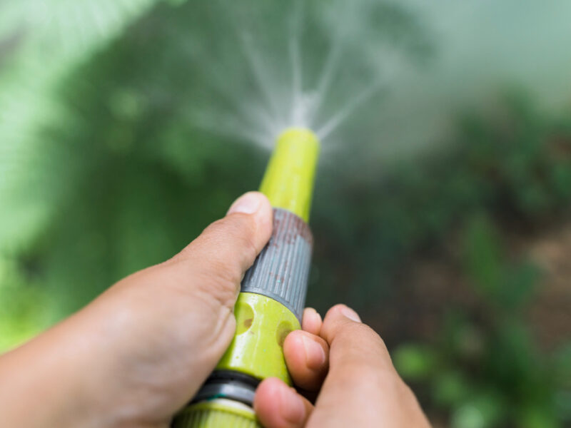 Gardening