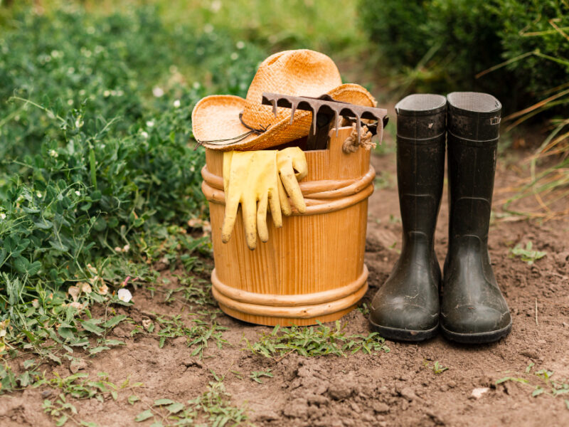 Close Up Gardening Accesories