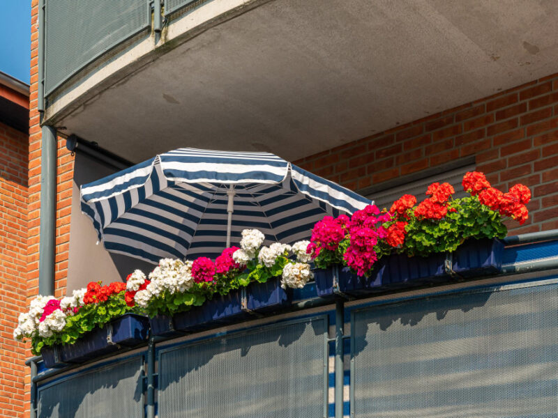 View Balcony Apartment Building With Geranium Flowers Solar Umbrella Sunny Sum