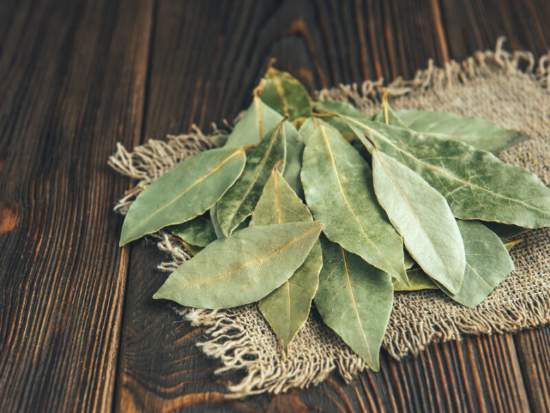 Bay Leaf Wooden Background