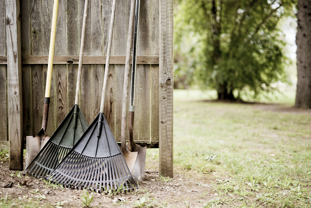 closeup-shot-two-leaf-rakes-shovels-leaned-against-wooden-fence-with-blurred-background