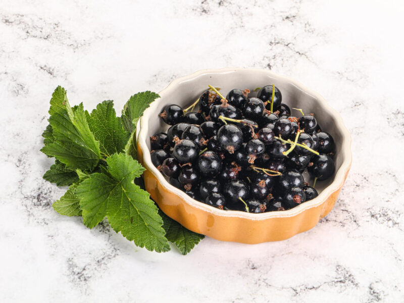 juicy-black-currant-berries-bowl