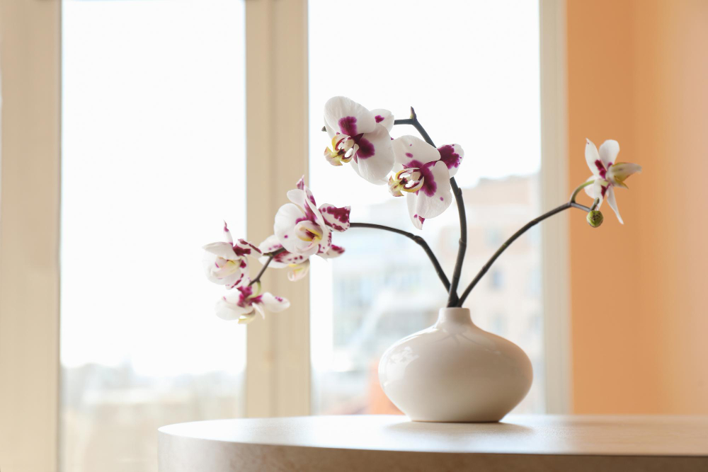Vase With Orchid Flowers White Table Near Window Indoors