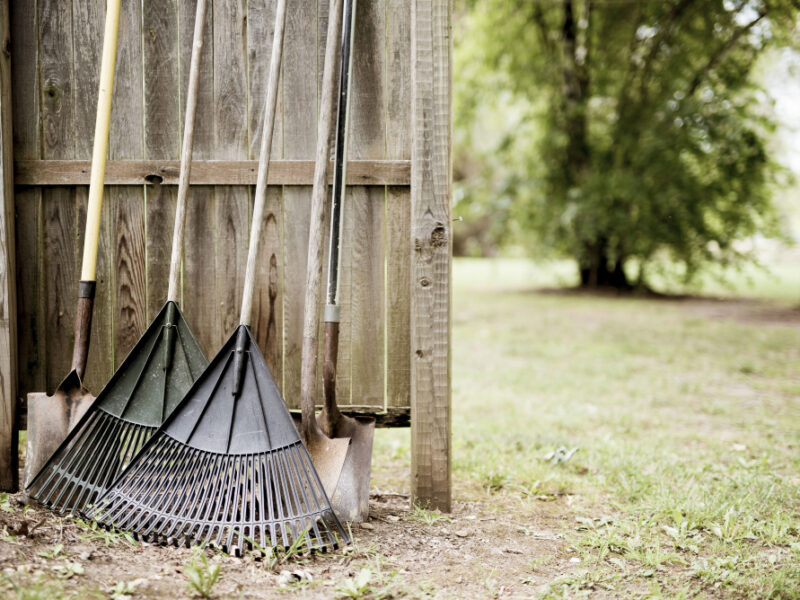 Closeup Shot Two Leaf Rakes Shovels Leaned Against Wooden Fence With Blurred Background