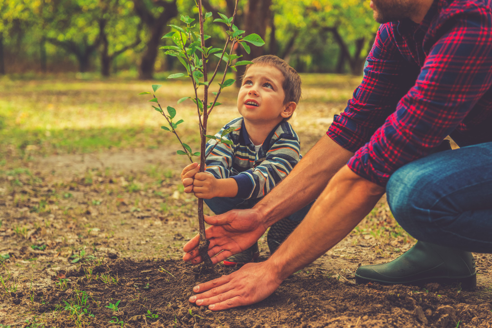 when-will-it-grow-curious-little-boy-helping-his-father-plant-tree-while-working-together-garden