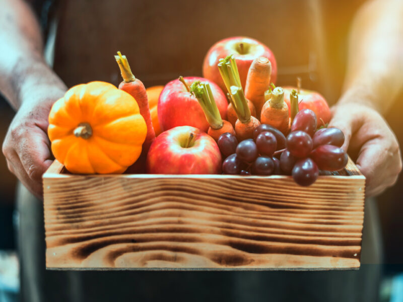 fall-harvest-cornucopia-autumn-season-with-fruit-vegetable-thanksgiving-day-concept