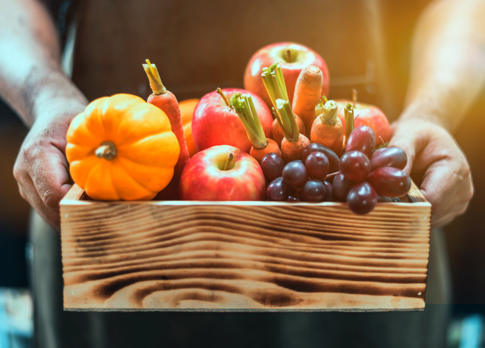 Fall Harvest Cornucopia Autumn Season With Fruit Vegetable Thanksgiving Day Concept