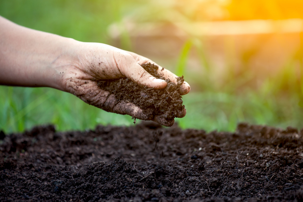 soil-hand-planting