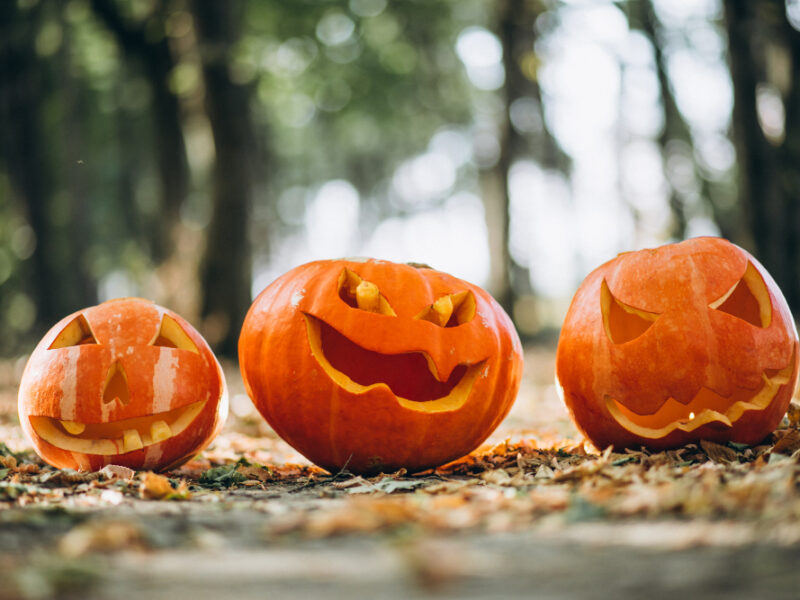 halloween-pumpkins-autumn-forest