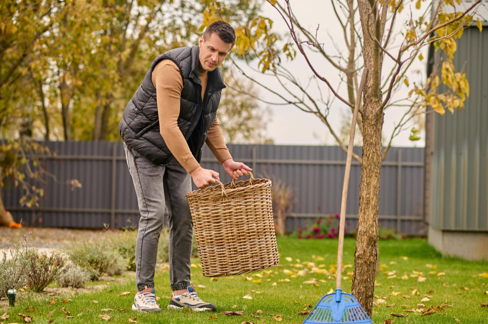 Leaf Basket Concentrated Young Adult Caucasian Man Jeans Vest Raising Basket Looking Attentively Lawn Garden Autumn Day