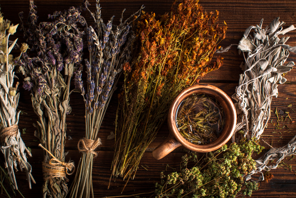 flat-lay-cup-herbal-tea-with-plants