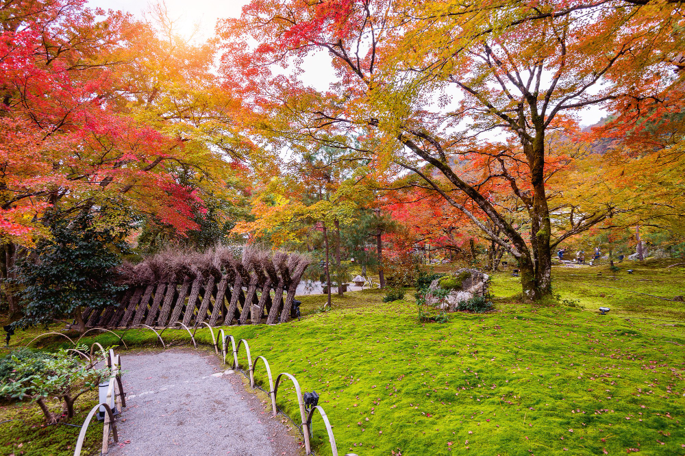 colorful-leaves-autumn-beautiful-park-japan