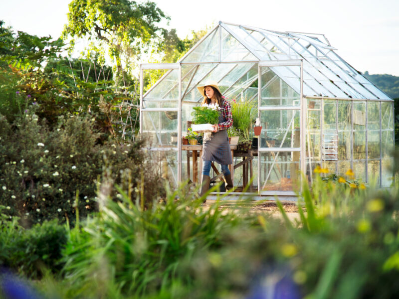 Young Woman Working Glass Greenhouse