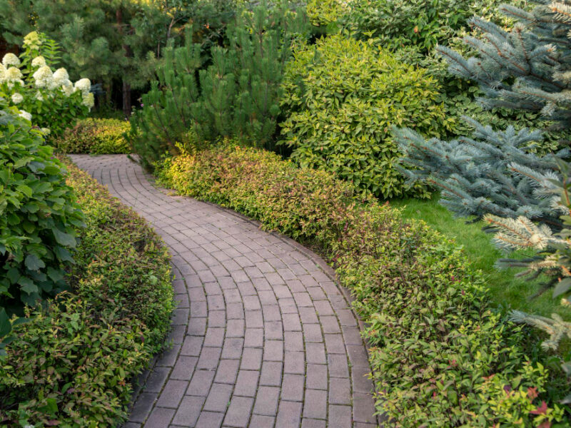 Paved Alley Park Among Bushes Trees Landscaping