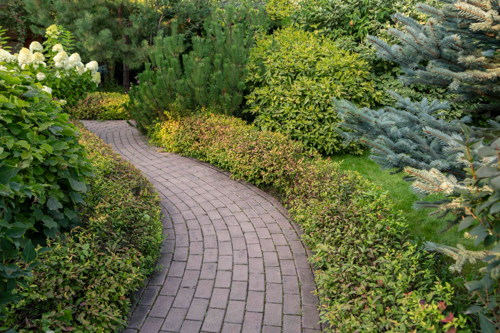 Paved Alley Park Among Bushes Trees Landscaping