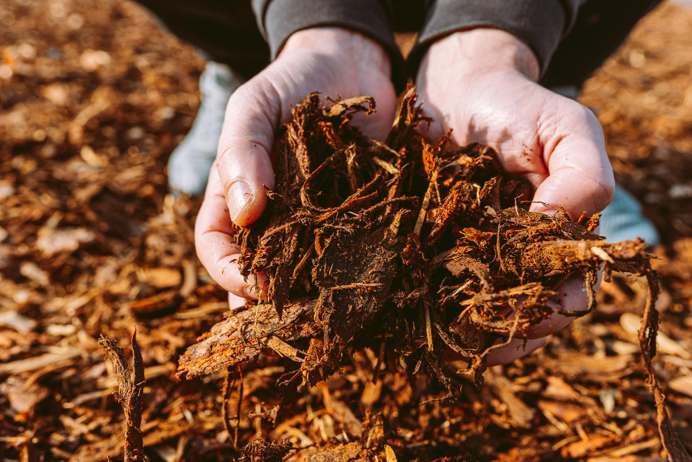 person-holding-pile-wood-chips