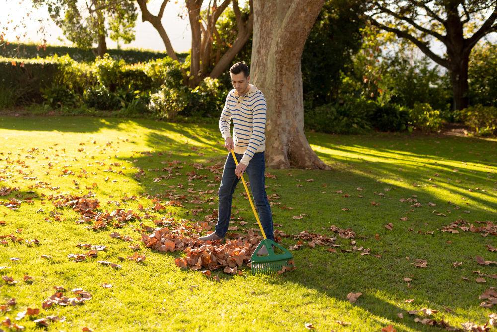 image-happy-caucasian-man-swiping-leaves-garden-lifestyle-autumn-spending-time-home-garden-concept