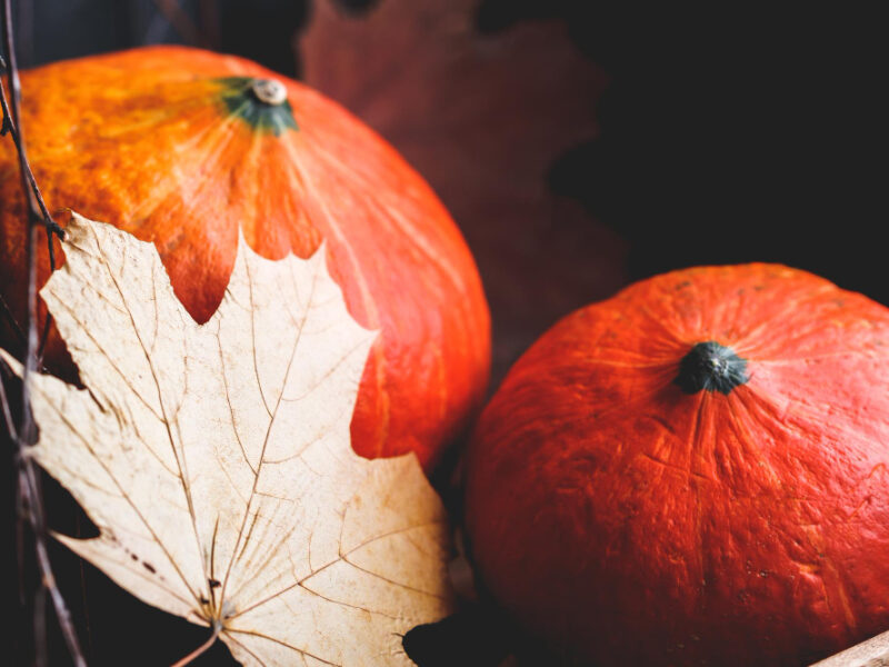 Pumpkins With Maple Dry Leaf Wooden Box Autumn Still Life