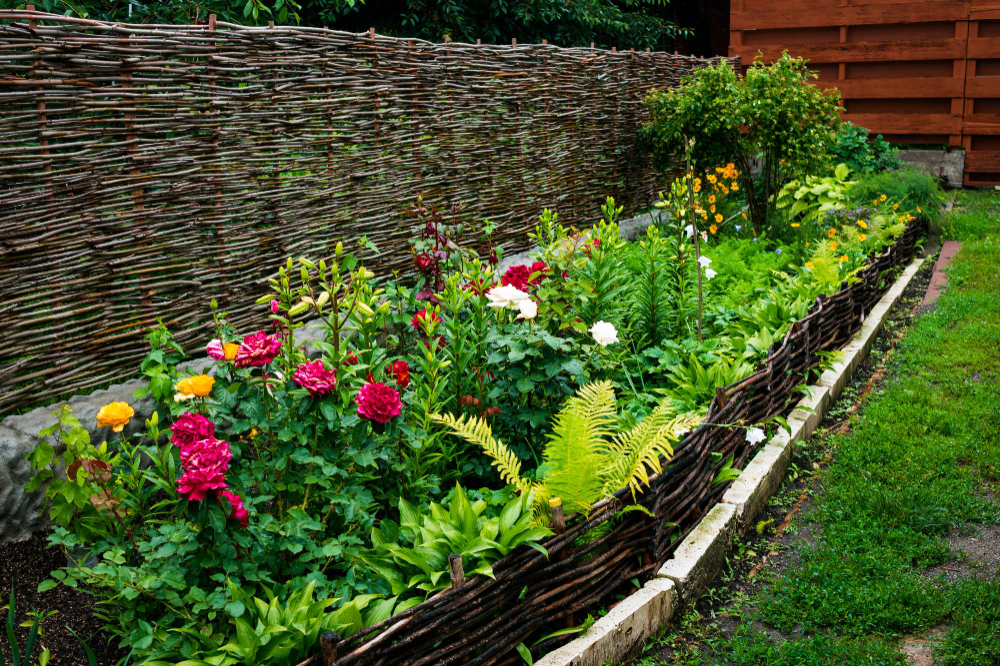 colorful-flowerbed-autumn-season-growing-near-fence-woven-vine