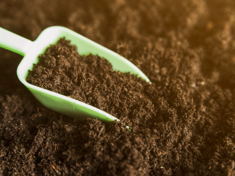 Green Measuring Scoop Dark Soil