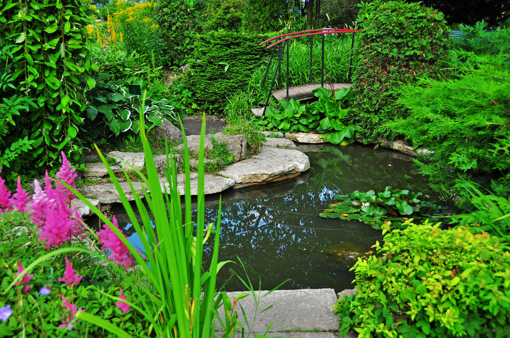 Cozy Garden With Decorative Lake Bridge Summer