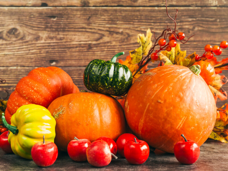Autumnal Harvest Against Wooden Wall