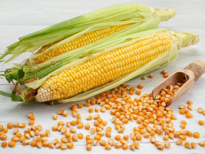 Front View Raw Yellow Corns With Peels Corn Seeds White Corn Food Meal Raw