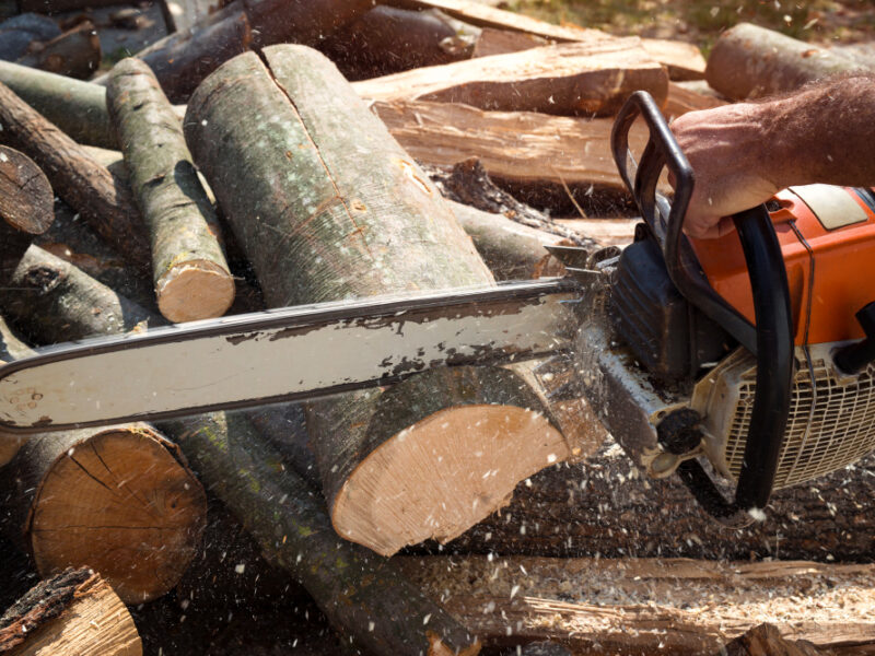 Lumberjack Cutting Wood With Chainsaw