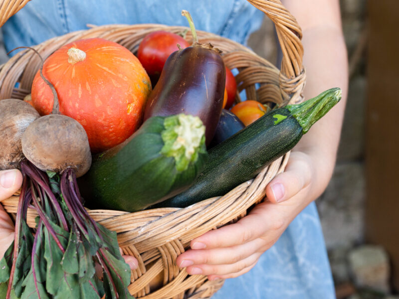 Close Up Hands Holding Basket With Vegetables