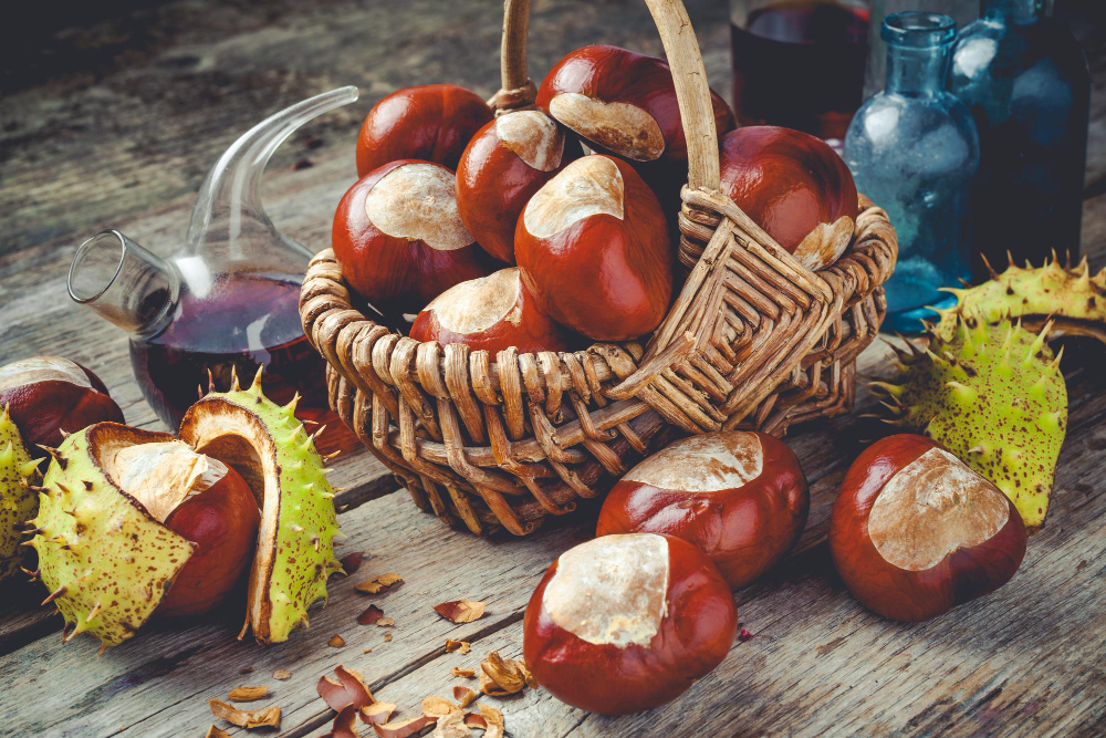 Chestnuts Basket Vials With Tincture Wooden Table