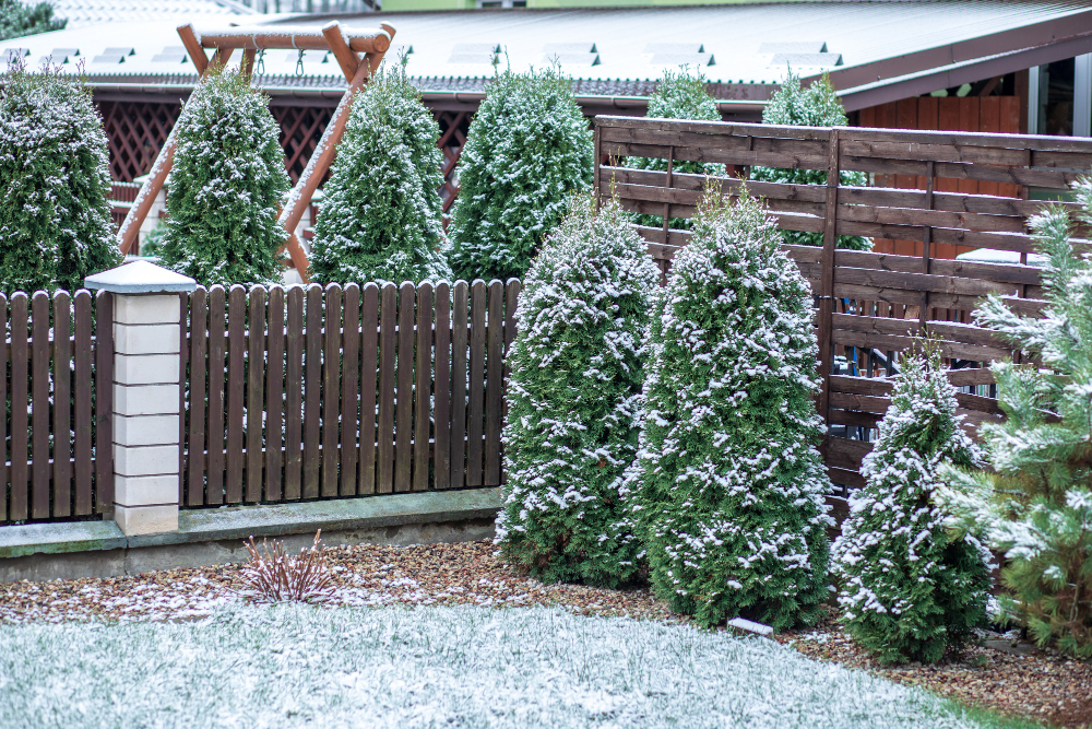 Snow Wood Deck Fence With Evergreens Background