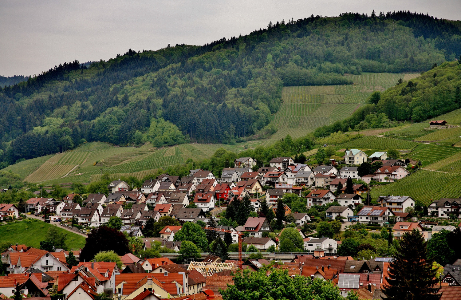 Colorful Landscape View Little Village Kappelrodeck Black Forest Mountains Germany