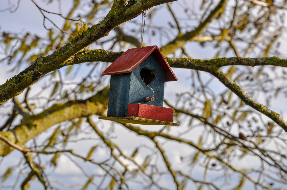 Close Up Shot Cute Bird House Red Blue With Heart Hanging From Tree