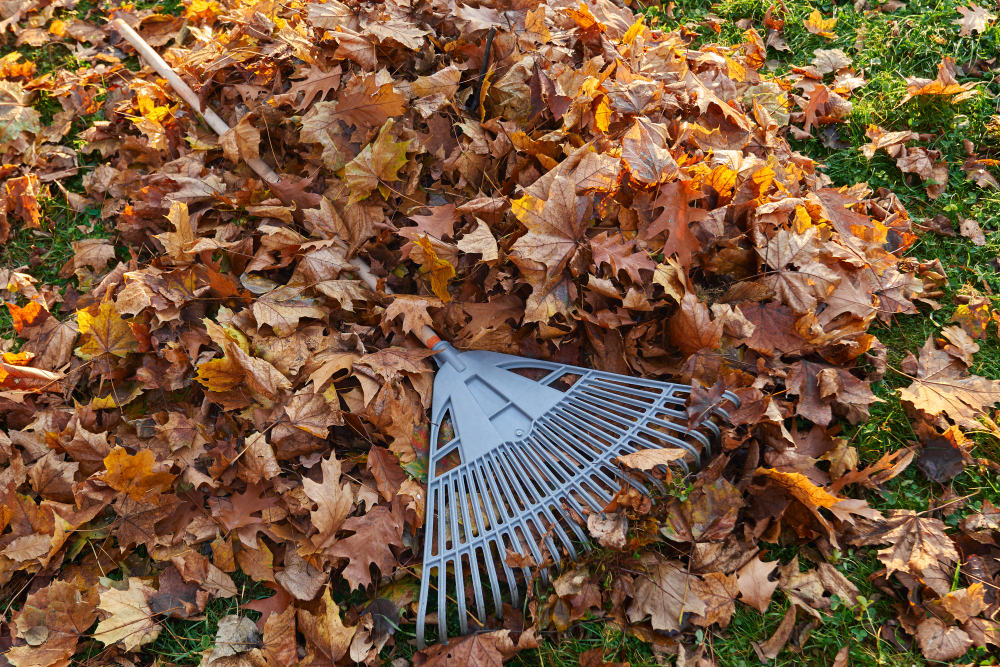 Plastic Fan Rake Pile Dry Golden Leaves Autumn Season View From Raked Leaves With