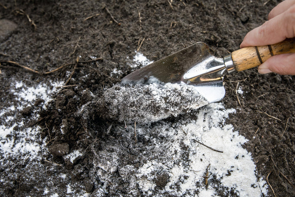 Gardener Mixing Dolomitic Limestone Powder Garden Soil Change Ph