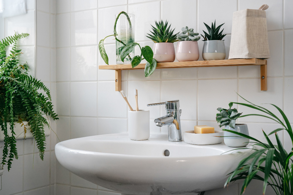 Modern White Bathroom With Bamboo Shelf Many Green Plants Home Comfort Zone Wellness Yero Waste